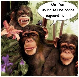 traduction bonne journee
